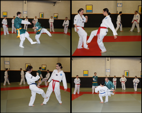 Taekkyon 10